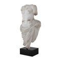 Product Image 1 for Delos Torso on Metal Stand from Currey & Company