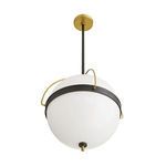 Product Image 1 for Dorothy Black Bronze Steel Pendant from Arteriors