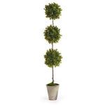 Product Image 1 for Barclay Butera Faux Boxwood Potted Topiary, 36" from Napa Home And Garden