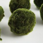 Product Image 4 for Moss Orbs, Set of 6 from Napa Home And Garden