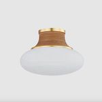 Pearl River flush mount ceiling light against neutral gray background showing oblong glass shade and brass details
