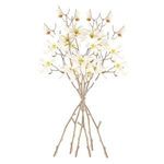 Product Image 3 for Star Magnolia Branches , Set Of 6 from Napa Home And Garden