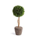 Product Image 1 for Boxwood Single Sphere Topiary Drop-In from Napa Home And Garden