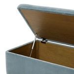 Product Image 8 for Iris Blue Lagoon Trunk from Four Hands