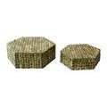 Product Image 1 for Knepp Green Box, Set of 2 from Currey & Company