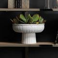 Large white textured ceramic pedestal bowl with thick natural plaster finish holding green succulent plant