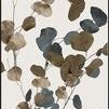 Product Image 1 for Eucalyptus Leaves in Fall II from Leftbank