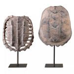 Product Image 2 for Uttermost Turtle Shells, S/2 from Uttermost