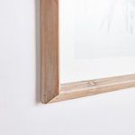 Product Image 2 for Classic Flower And Leaf Study, Set Of 6 from Napa Home And Garden