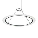 Product Image 1 for Arctic Rings™ Pendant from Sonneman