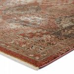 Product Image 9 for Lia Medallion Rust/ Pink Rug from Jaipur 
