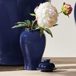 Product Image 4 for Koa Lidded Ginger Jar Small from Napa Home And Garden