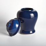 Product Image 3 for Koa Wide Lidded Ginger Jar from Napa Home And Garden