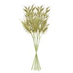 Product Image 3 for Plumosa Stems, Set Of 6 from Napa Home And Garden