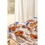 Carafe on a set dining table with matching blue-rimmed glasses, terracotta dishes, and natural light background