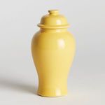 Product Image 2 for Koa Lidded Mini Ginger Jar from Napa Home And Garden