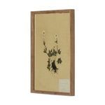 Side angle view of rustic walnut frame holding botanical art piece with visible depth of frame