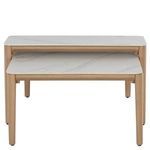 Product Image 11 for Palma Nesting Coffee Tables from Summer Classics
