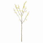 Product Image 1 for Forsythia Stems , Set Of 6 from Napa Home And Garden