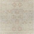 Product Image 1 for Biscayne Light Gray / Tan Rug from Surya