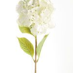 Product Image 2 for Mophead Hydrangea Stems , Set Of 4 from Napa Home And Garden