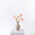 Product Image 9 for Arid Round Ceramic Vase - Distressed Cream from Four Hands