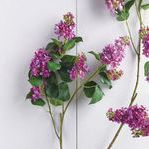 Product Image 2 for Garden Lilac Branch from Napa Home And Garden