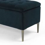 Product Image 4 for Rennie Trunk from Four Hands