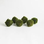 Product Image 2 for Moss Orbs, Set of 6 from Napa Home And Garden