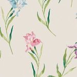 Wallpaper with watercolor iris flowers in shades of pink, blue, and purple on a pale seaspray background