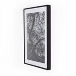 Product Image 8 for Tree Gaze IV By Coup D'esprit from Four Hands