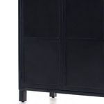 Product Image 10 for Levine Cabinet from Four Hands