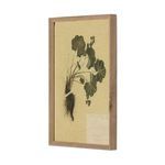 Side angle view of right panel featuring pressed leafy plant with roots in rustic walnut frame