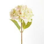 Product Image 2 for Hydrangea Stems , Set Of 6 from Napa Home And Garden
