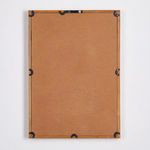 Product Image 2 for Sunbird Study, Set Of 4 from Napa Home And Garden