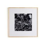 Product Image 1 for Floral Film I Framed Black and White Photograph by Annie Spratt from Four Hands