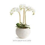 Product Image 6 for Avani Pot from Napa Home And Garden