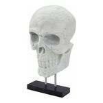 Product Image 2 for Braincase Skull Statue White from Moe's