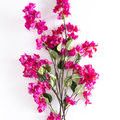 Product Image 6 for Agnes Bougainvillea Stems - 54", Bundle of 2 from Napa Home And Garden