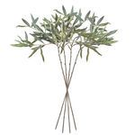Product Image 2 for Olive Stems , Set Of 4 from Napa Home And Garden