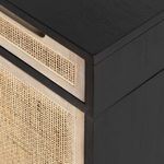 Product Image 8 for Clarita Desk - Black Mango from Four Hands