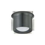 Noxon flush mount ceiling light isolated on white background showing front view with dark metal frame and matte glass shade