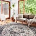 Samra Ivory / Denim Rug styled in bright living room with sofa, chair, plant, and large windows