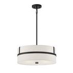 Product Image 8 for Caged 4 Light Pendant from Savoy House 