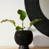 Product Image 6 for Daria Tall Matte Black Ceramic Vase from Arteriors