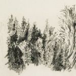 Product Image 12 for Tree Sketch By Dan Hobday from Four Hands