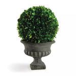 Product Image 1 for Boxwood Ball In Urn 12" from Napa Home And Garden