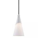Product Image 1 for Parker 1 Light Pendant from Mitzi