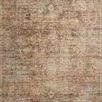 Traditional Anniston Clay Charcoal rug with distressed, saturated earth tones and faded motifs