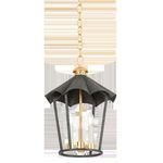 Product Image 1 for Wildomar Lantern from Troy Lighting